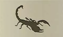 Scorpion