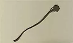 Staff