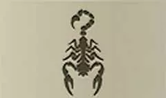 Scorpion