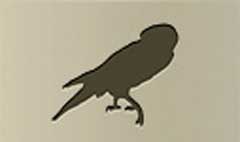 Falcon silhouette