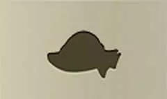 Women's Hat
