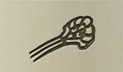 Comb