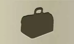 Travel Bag