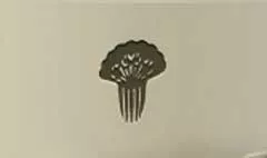 Comb