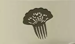 Comb