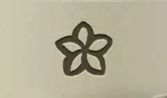 Plumeria