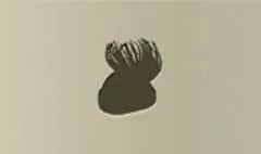Women's Hat