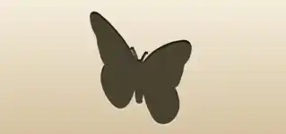 Butterfly silhouette