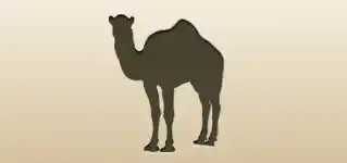 Camel silhouette