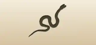 Snake silhouette