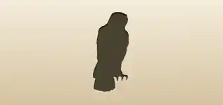 Falcon silhouette