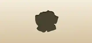 Rose silhouette