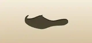 Shoe silhouette