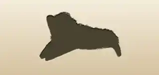 Cheetah silhouette