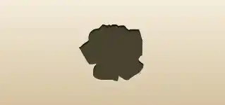 Rose silhouette