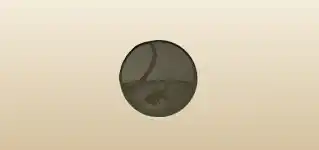 Fishbowl silhouette