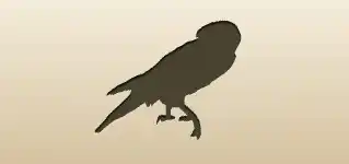 Falcon silhouette