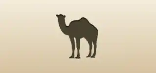 Camel silhouette