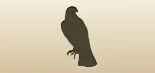 Falcon silhouette