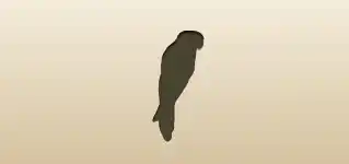Parrot silhouette