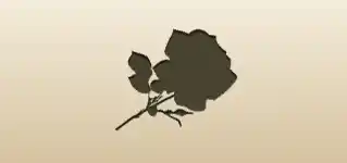 Rose silhouette