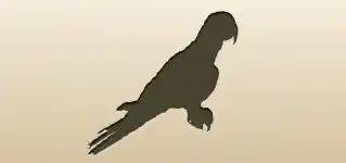 Parrot silhouette