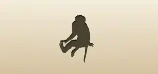 Monkey silhouette