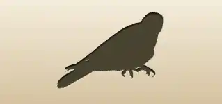 Falcon silhouette
