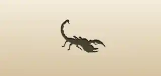 Scorpion silhouette