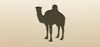 Camel silhouette
