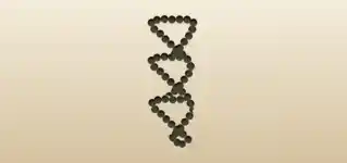 Prayer Beads silhouette
