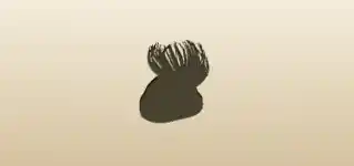 Women’s Hat silhouette