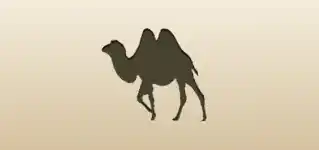 Camel silhouette