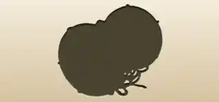 太鼓