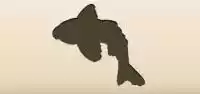 魚のシルエット