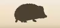 ハリネズミのシルエット