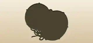 太鼓