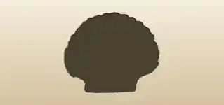 貝殻のシルエット