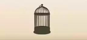 Birdcage