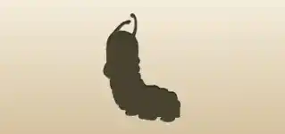 いも虫のシルエット