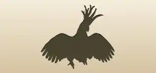 オウムのシルエット