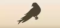 Swallow