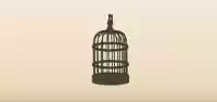Birdcage