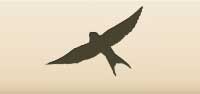 Swallow silhouette