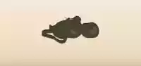 Goggles