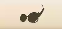 Goggles