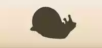 Snail