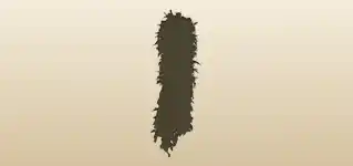 ボアの襟巻きのシルエット