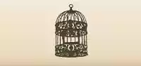 Birdcage