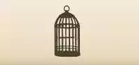 Birdcage
